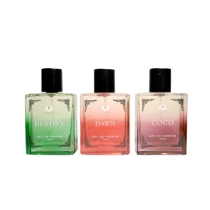Perfume Gift Set of 3 for Men 3 X 100ml (1 Destiny 1 Dawn & 1 Coco)